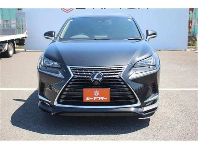 LEXUS NX300