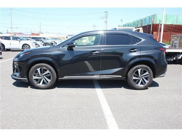 LEXUS NX300