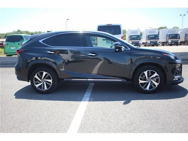 LEXUS NX300
