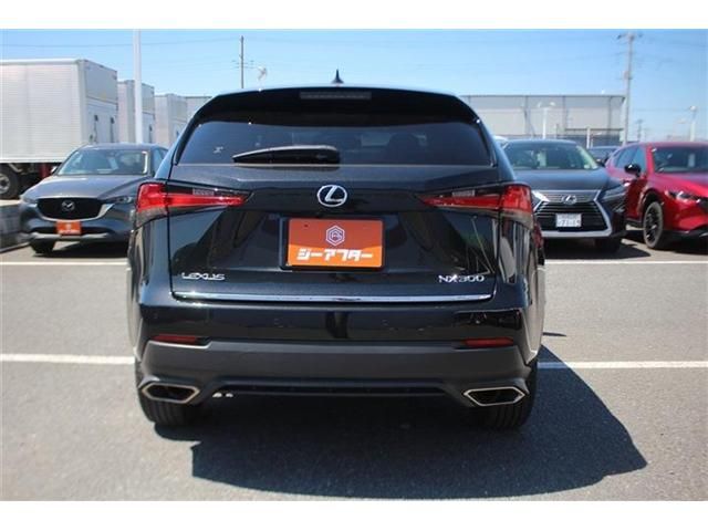 LEXUS NX300