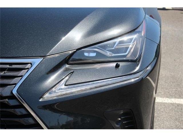 LEXUS NX300