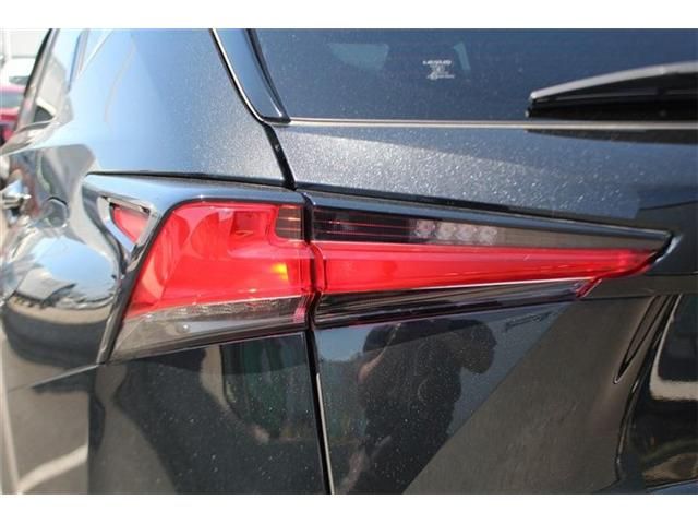 LEXUS NX300