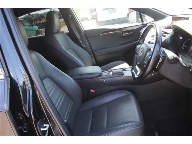 LEXUS NX300