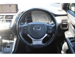 LEXUS NX300