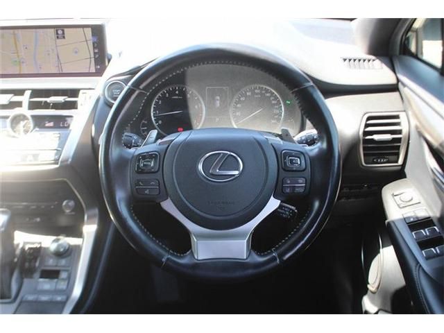 LEXUS NX300