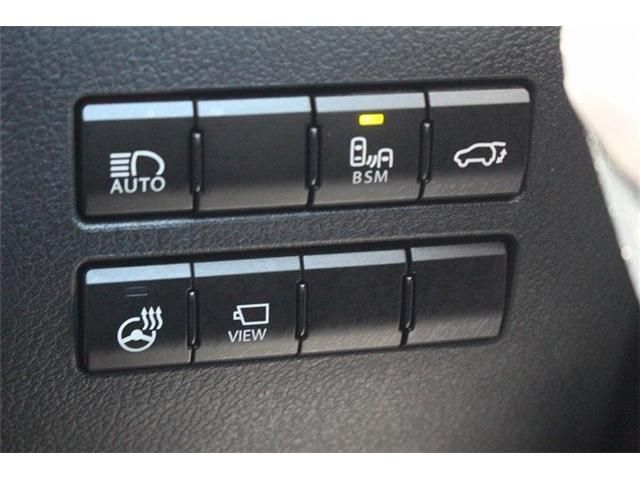 LEXUS NX300