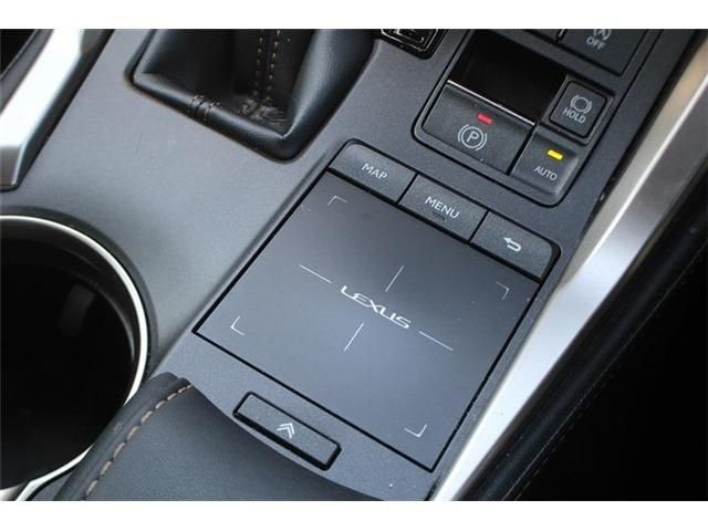 LEXUS NX300