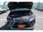 LEXUS NX300