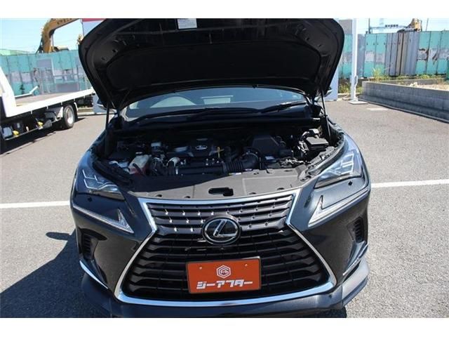 LEXUS NX300