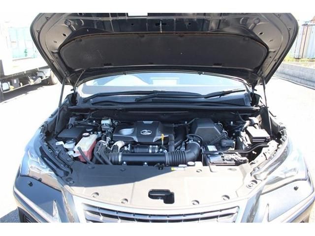 LEXUS NX300