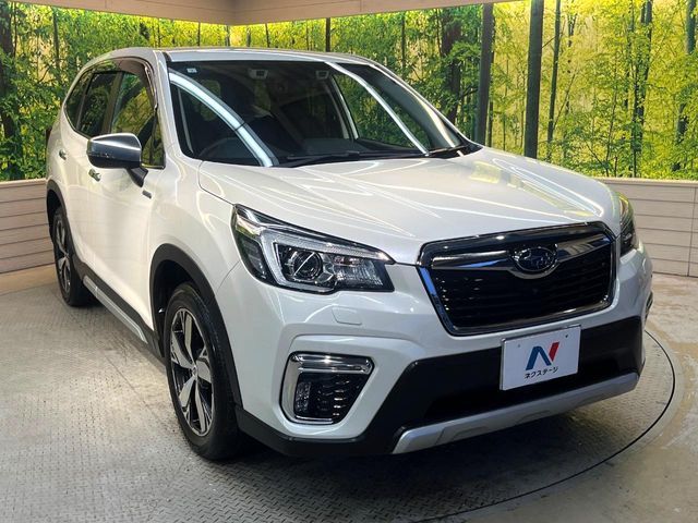 FORESTER