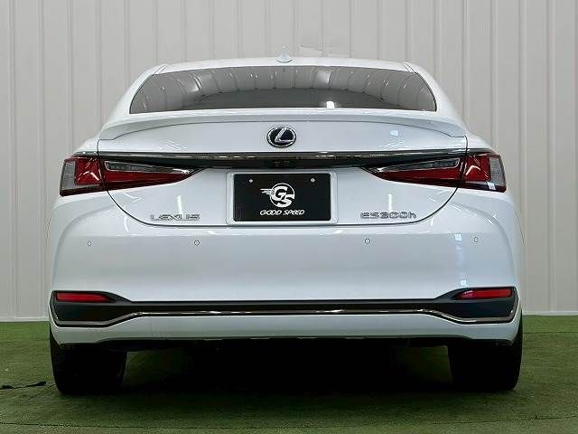LEXUS ES300h