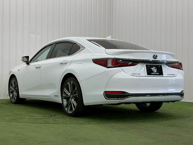 LEXUS ES300h