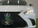 LEXUS ES300h