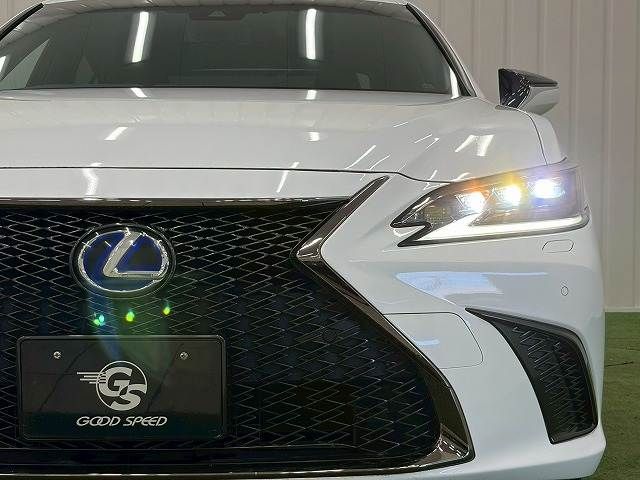LEXUS ES300h