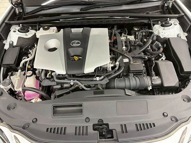 LEXUS ES300h