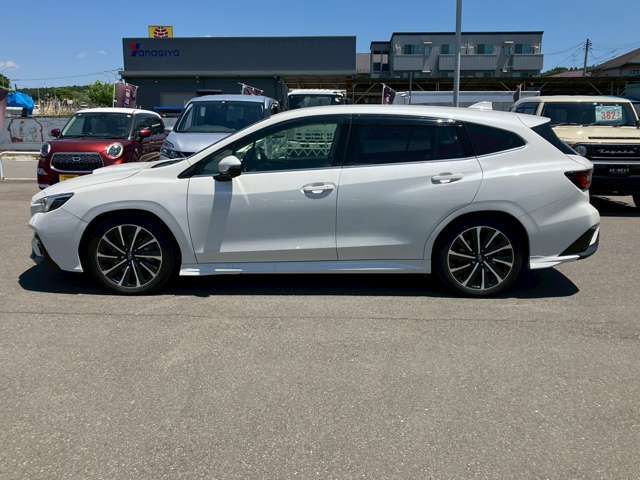 LEVORG