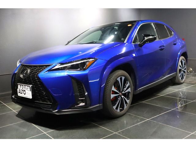 LEXUS UX250h