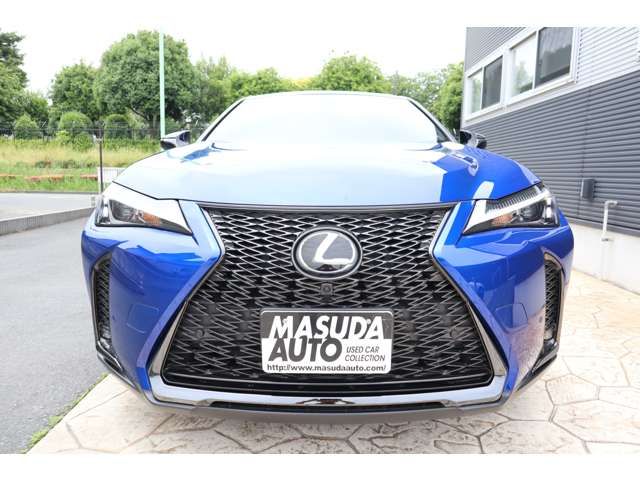 LEXUS UX250h