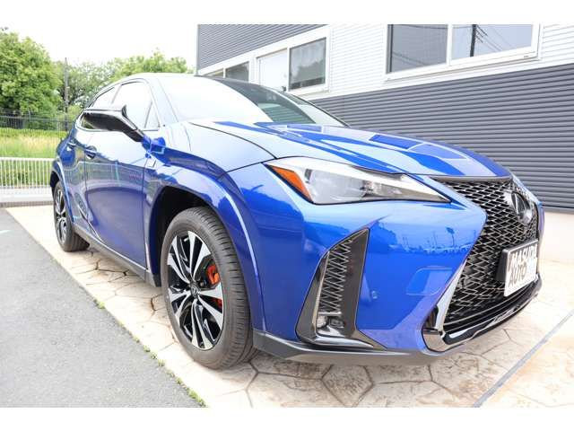 LEXUS UX250h