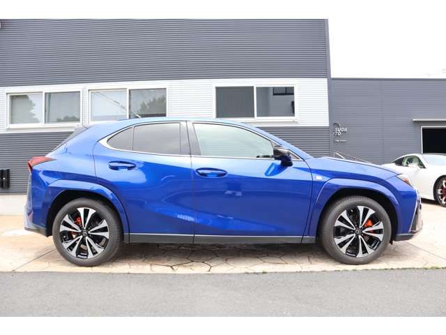 LEXUS UX250h