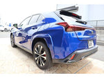 LEXUS UX250h