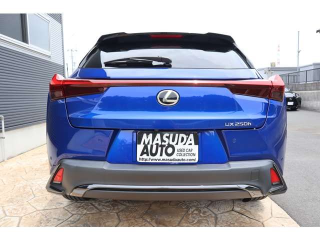 LEXUS UX250h