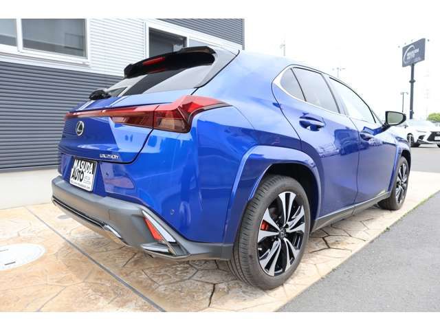 LEXUS UX250h