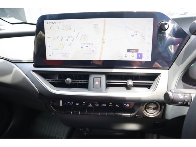 LEXUS UX250h