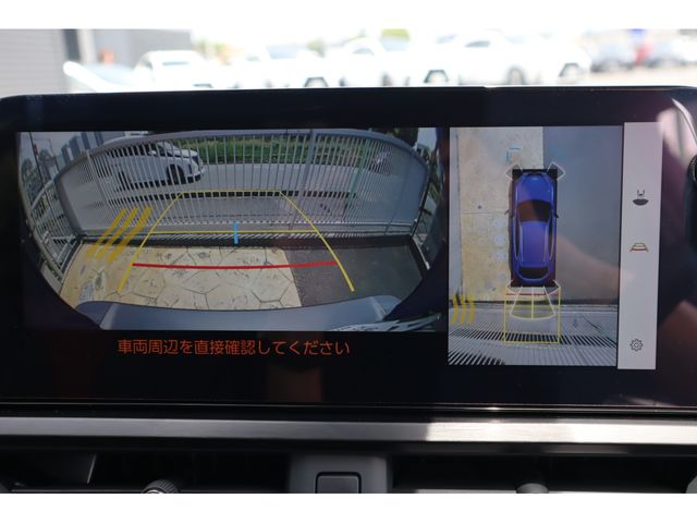 LEXUS UX250h