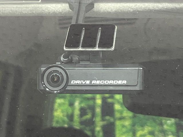 DAYZ ROOX 4WD