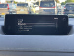 MX-30 Rotary-EV