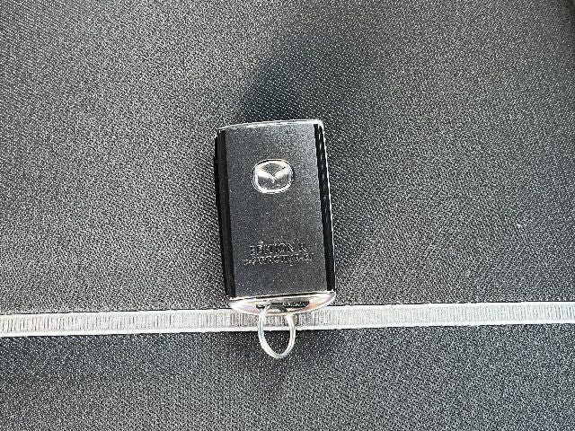 MX-30 Rotary-EV