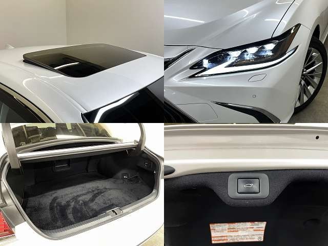 LEXUS ES300h