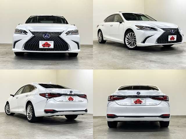 LEXUS ES300h