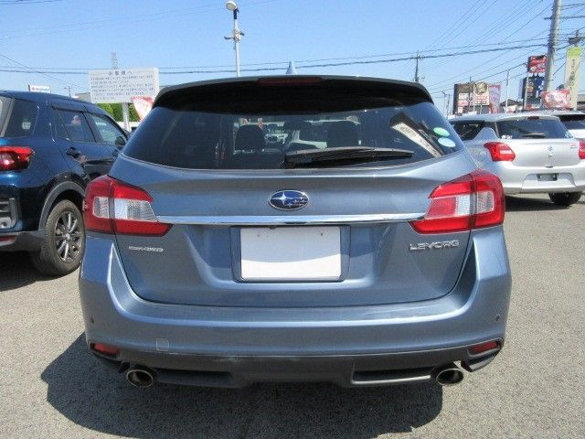 LEVORG