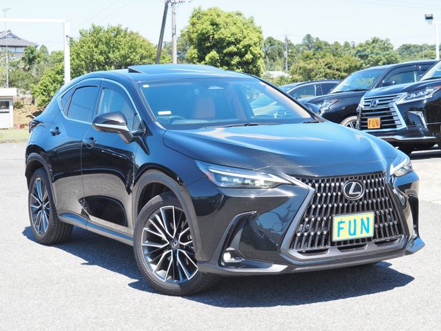 LEXUS NX450h+ AWD