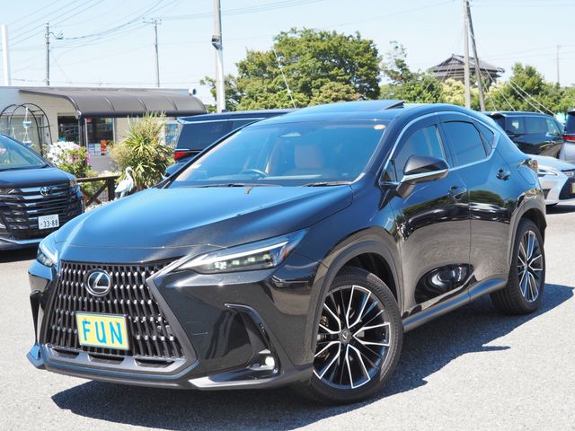 LEXUS NX450h+ AWD