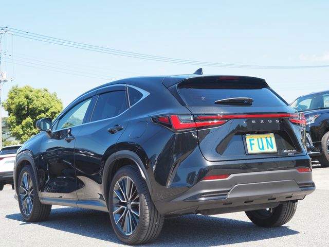 LEXUS NX450h+ AWD