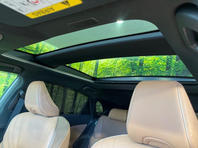 CROWN SPORT