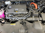 CROWN SPORT