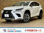 LEXUS NX300 AWD