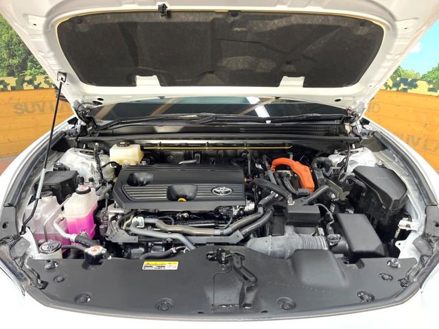 CROWN SPORT