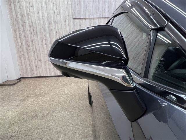 LEXUS NX350h AWD