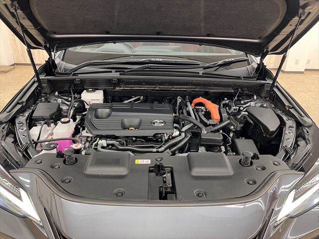 LEXUS NX350h AWD