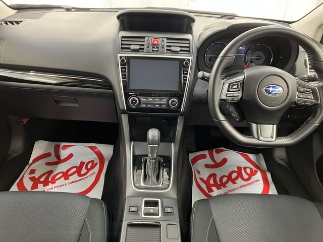 LEVORG