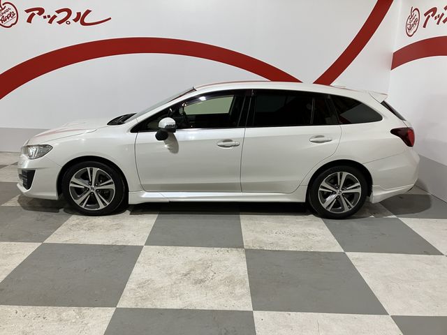 LEVORG