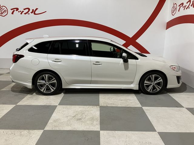 LEVORG
