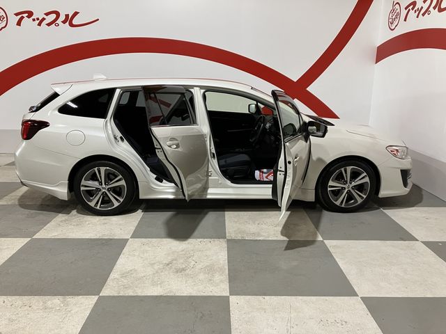 LEVORG