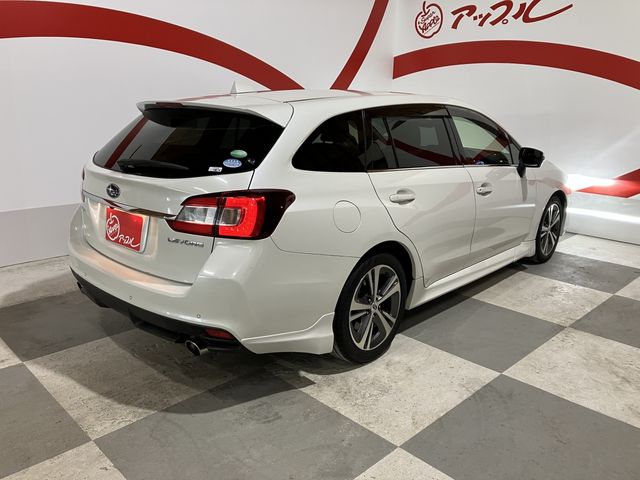 LEVORG